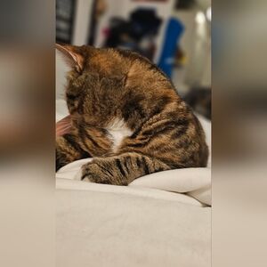 NOT FOR SALE NEW BUNDLE FOR @valsdailyfinds